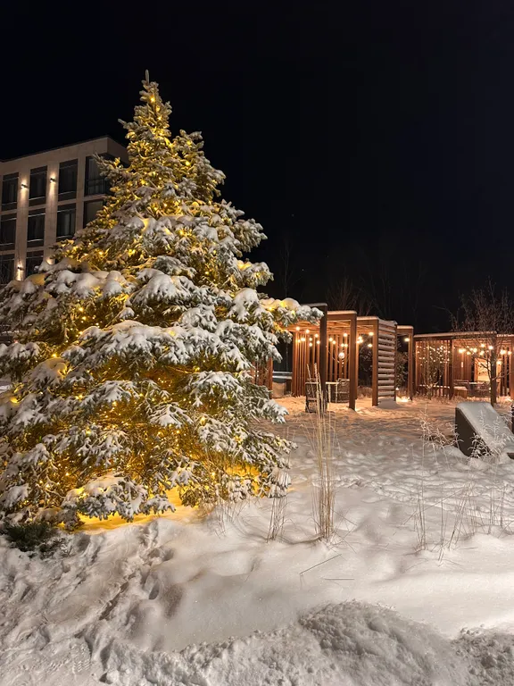 Студия на Новый Год в Курортном районе