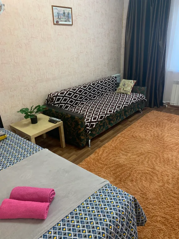 Просторная однокомнатная квартира