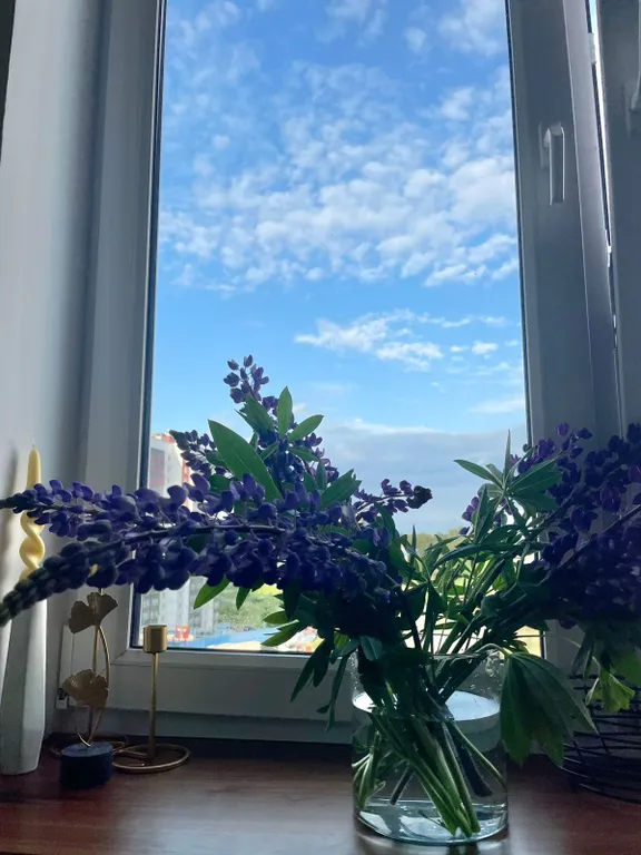 Квартира Воздух лес и озера — Всеволожск