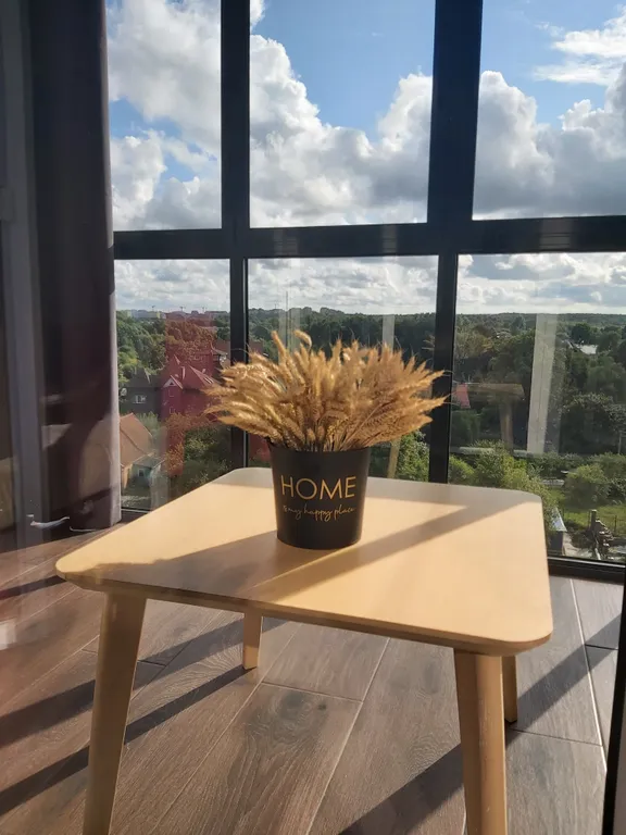 Квартира Квартира Студия у моря — Светлогорск