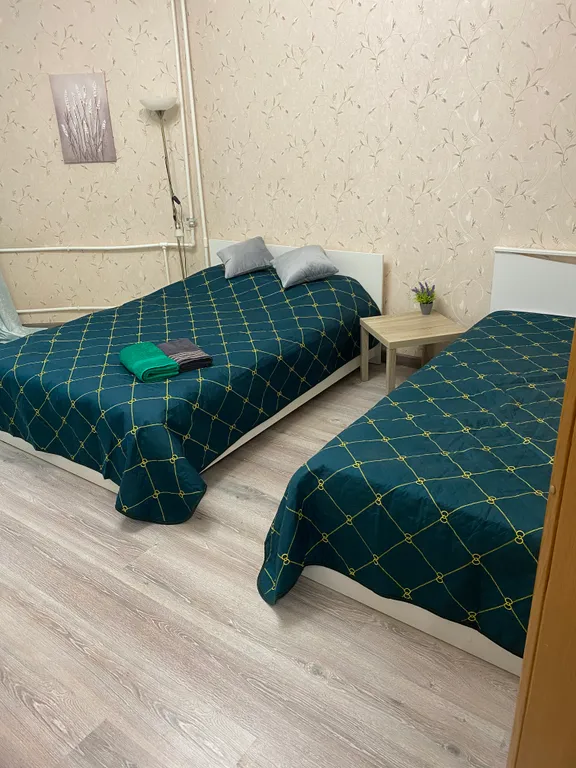 Уютная квартира — аренда посуточно в Пушкино