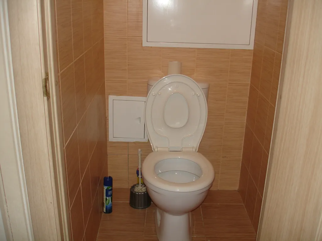 Уютная квартира где городской парк