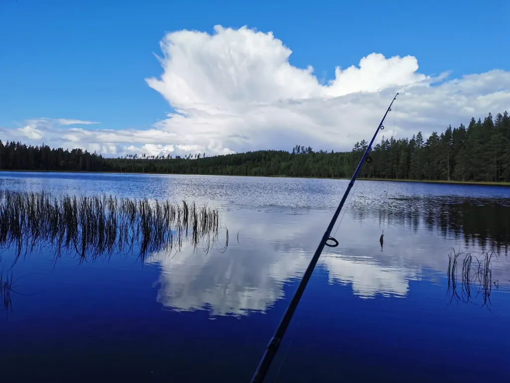 Дом в лесу рядом с озером