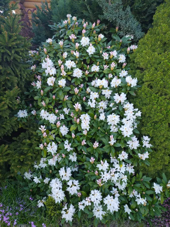 Дом на побережье