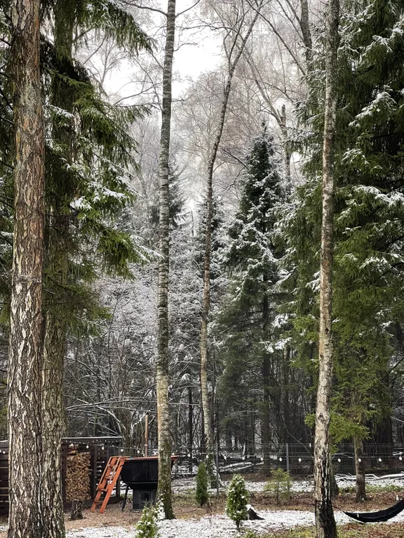 Отдых в доме в лесу с чаном и бассейном