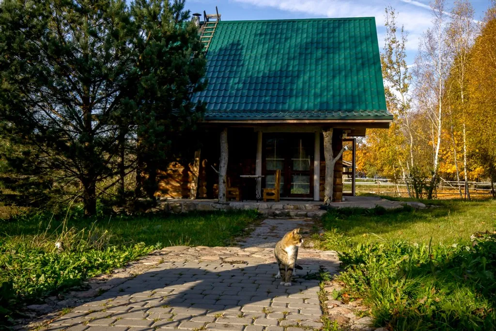 Экодом из вековой сосны с прудом и 7-м бассейном в 23 км от Минска