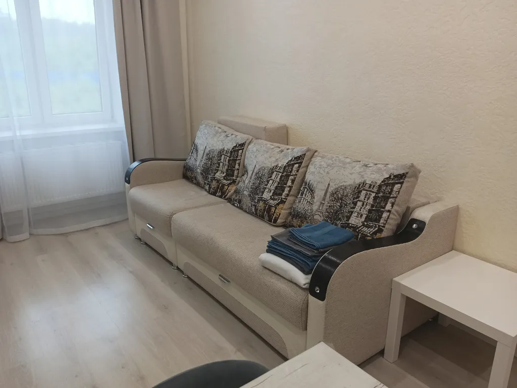 Уютная студия в Чистых ручьях