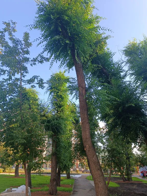 Квартира Квартира на набережной — Красноярск