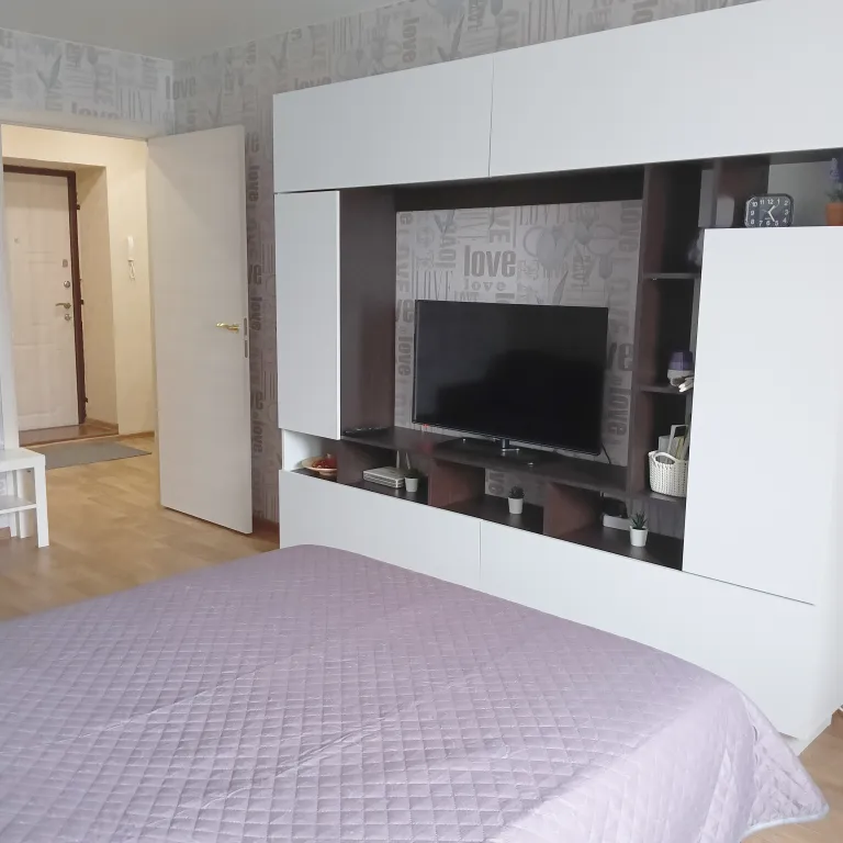 Квартира в рязани рядом с глобусом