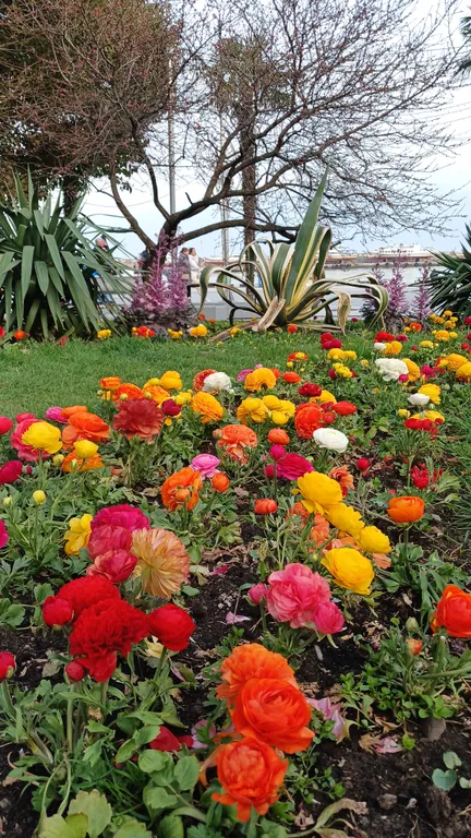 Квартира в центре Ялты