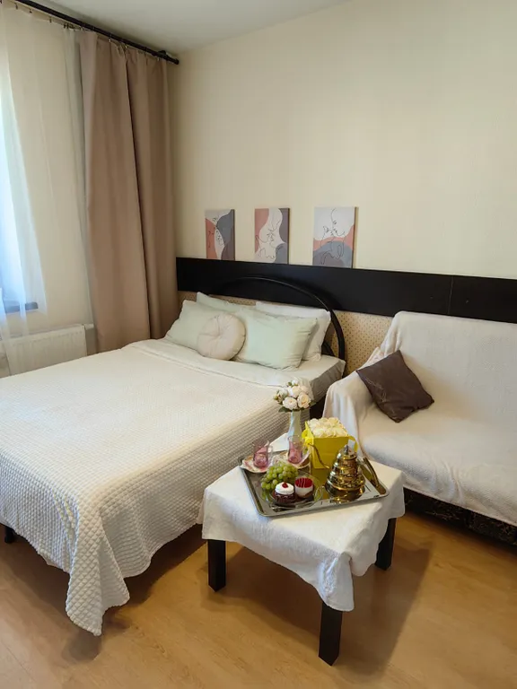 Квартира Уютная видовая студия у метро — аренда посуточно в Мурино