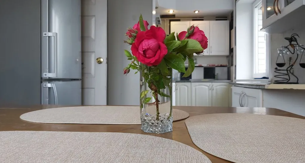 Двухуровневая квартира с парковкой и двумя санузлами