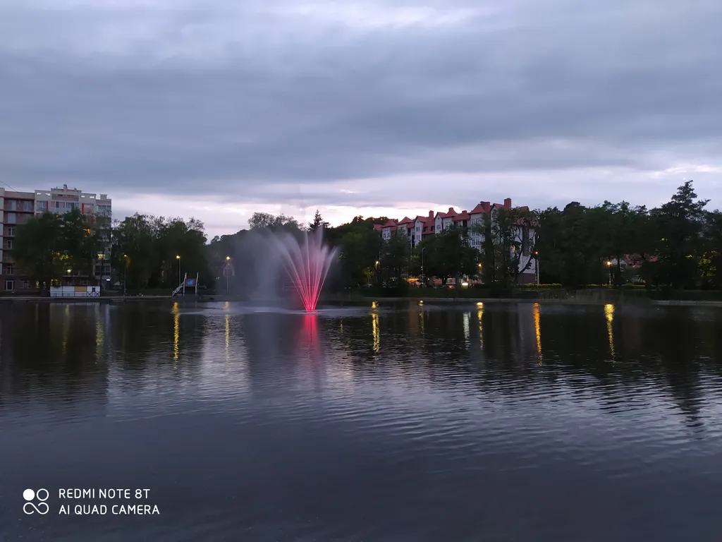 Квартира Уютная квартира с видом на лес — Светлогорск