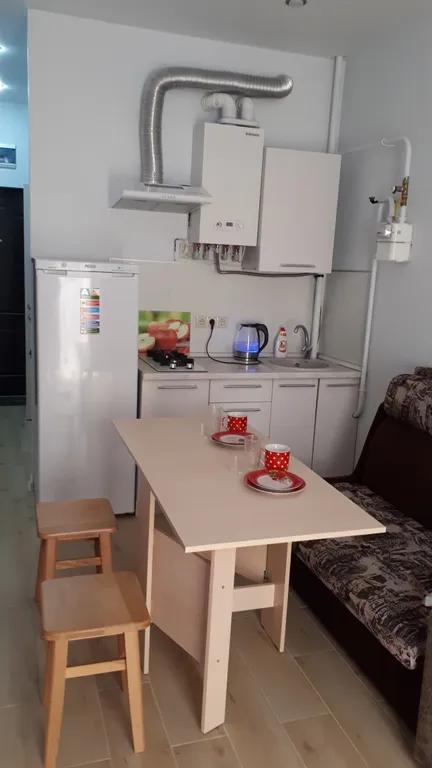 Квартира 1-комнатная Квартира — Сириус