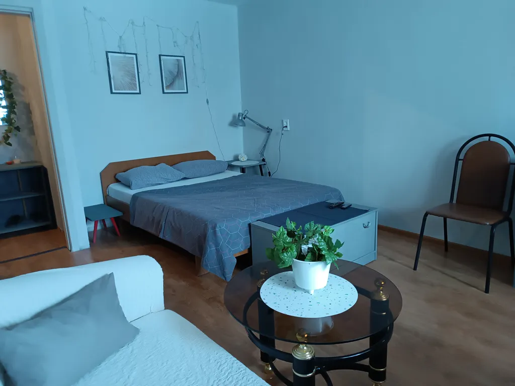 Однушка на набережной