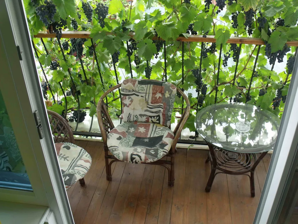 Апартамент с отдельным входом и балконами