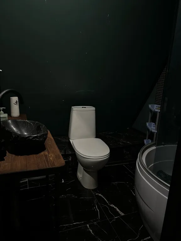 Дом для большой компании