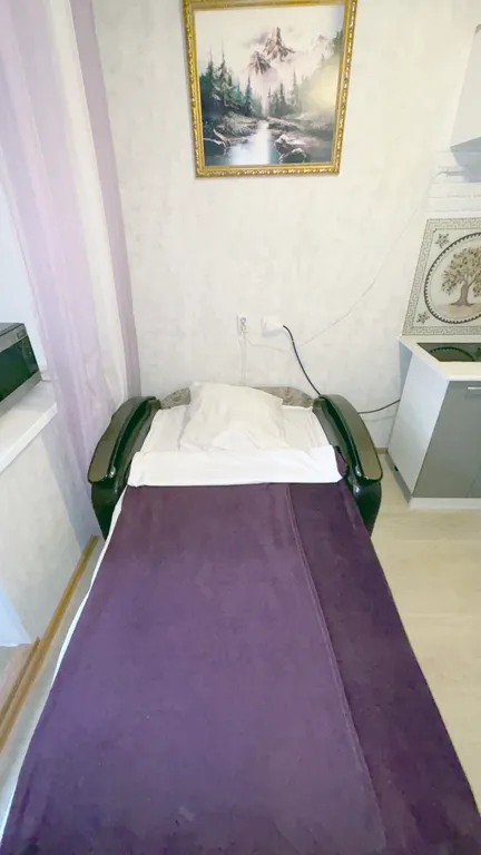 Однокомнатная в Петра Дубраве