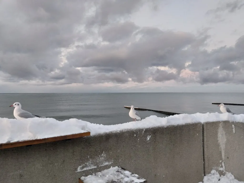 Квартира Двухкомнатная чудная квартира — Светлогорск