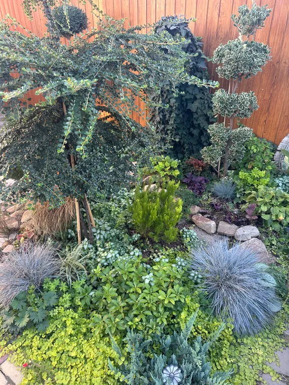 Домик с мини-садом