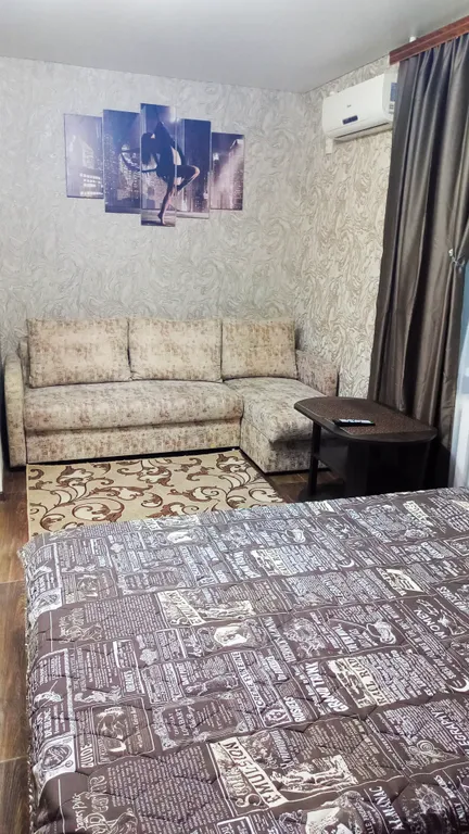 Уютная квартира в центре города парк Топольки