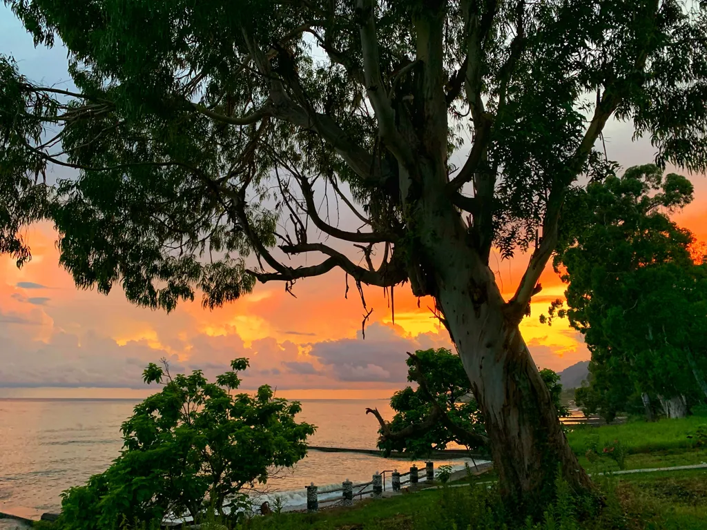 Домик 1-комнатный 3-местный