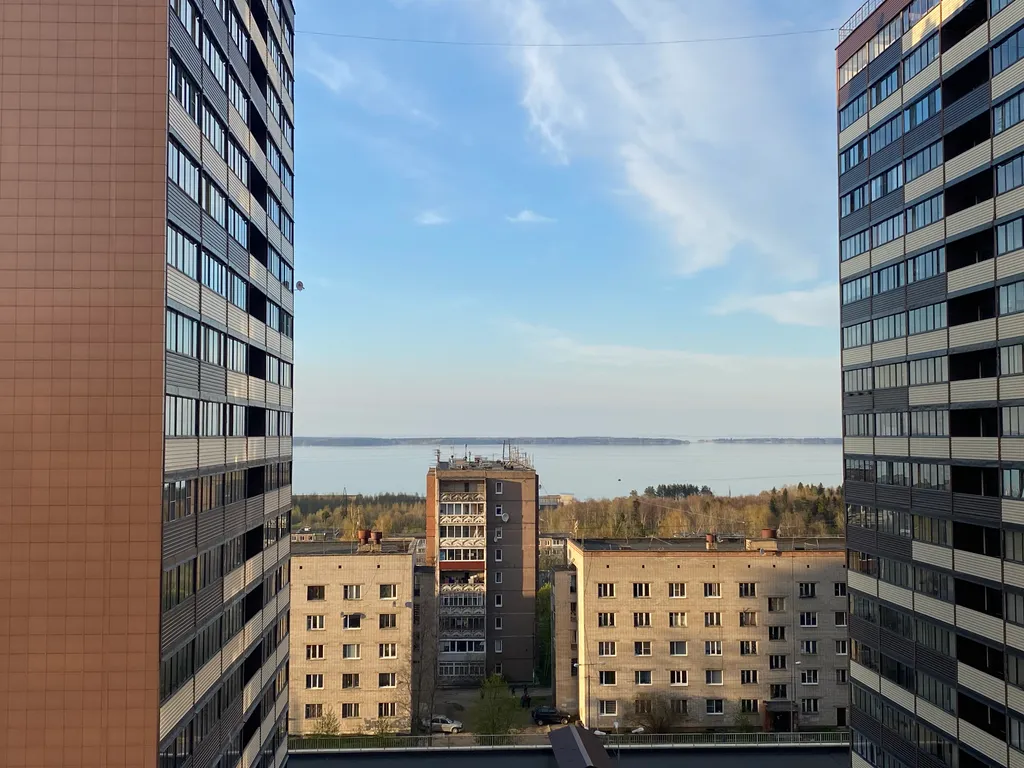 Квартира У леса