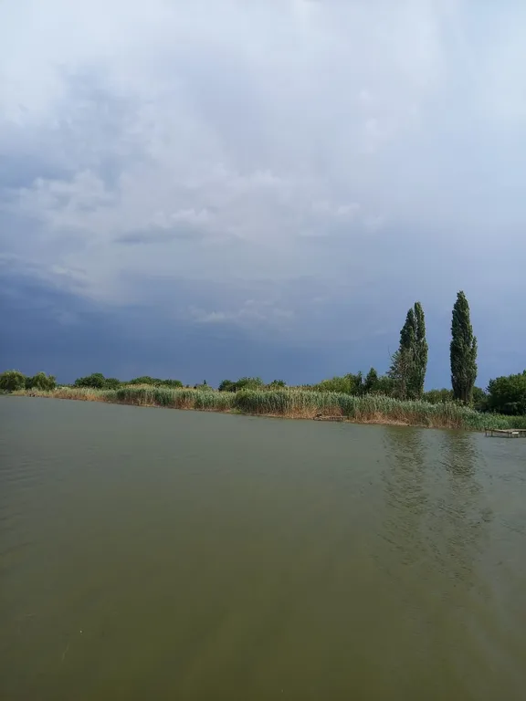 Новый дом-сруб у реки в живописном месте, баня, банный чан, рыбалка