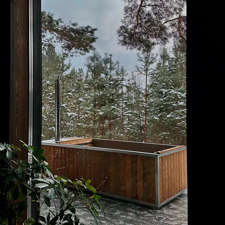 Дом с купелью и камином