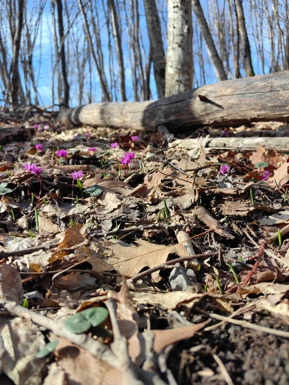 Коттедж Восстанавливающий отдых на природе в Горах Адыгеи — Веселый