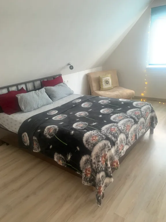 Коттедж в центре с баней и банным чаном