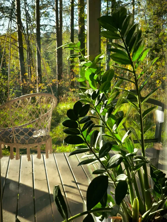 Новый дом для спокойного отдыха