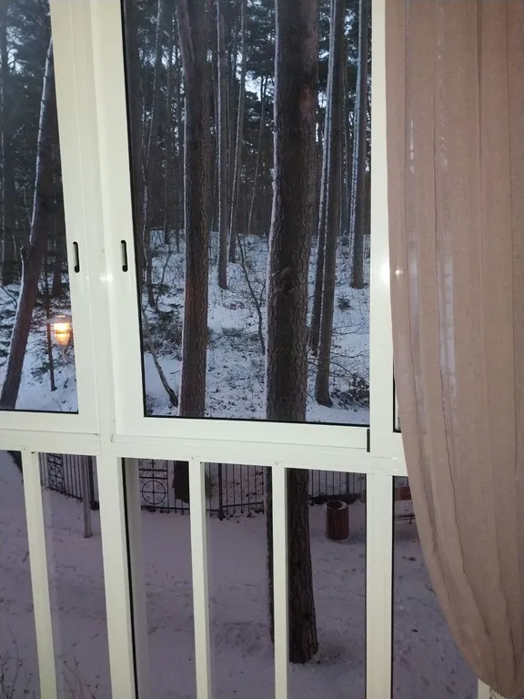 Квартира Квартира-студия — Светлогорск