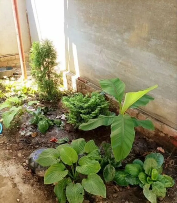 Уютный дом с собственным двором, навесом и парковкой