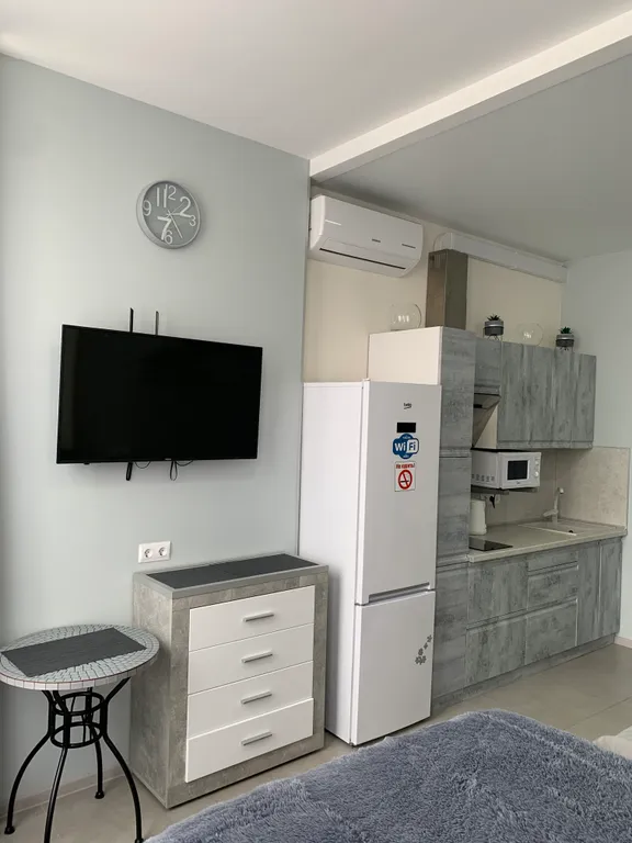 Квартира 1-комнатная Квартира — Сириус