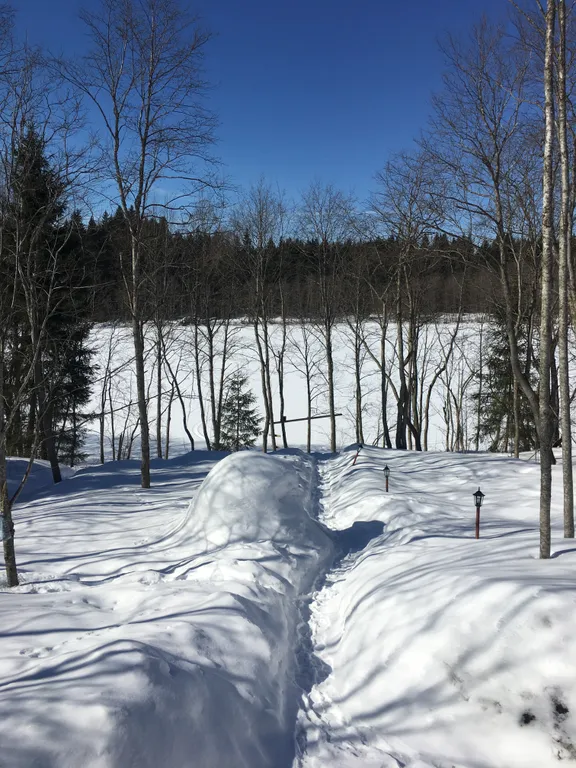 Деревянный дом у озера