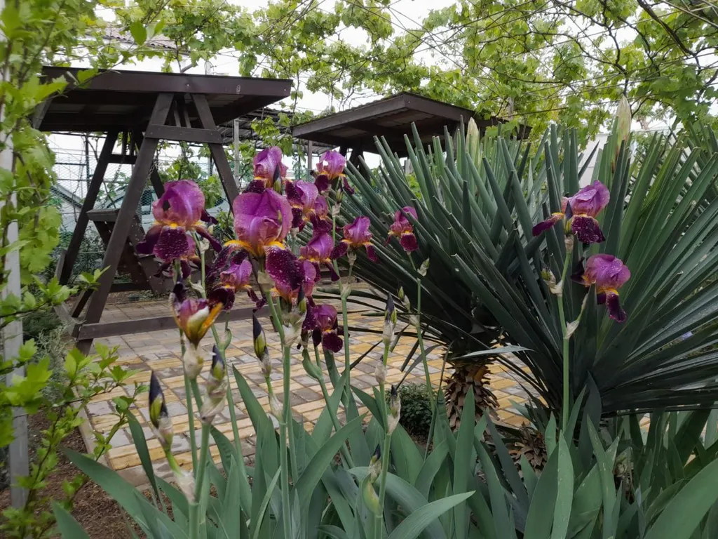 Коттедж 2-комнатный Дом — Новоотрадное