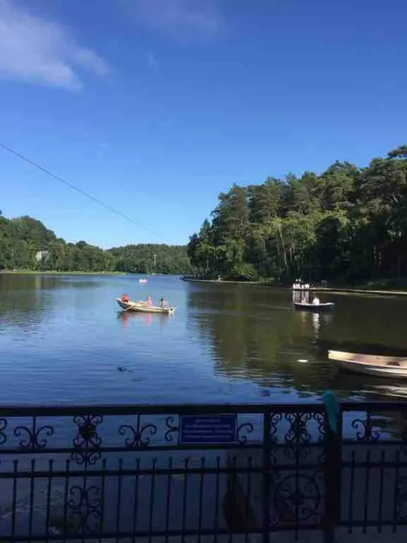 Уютная студия с видом на лес