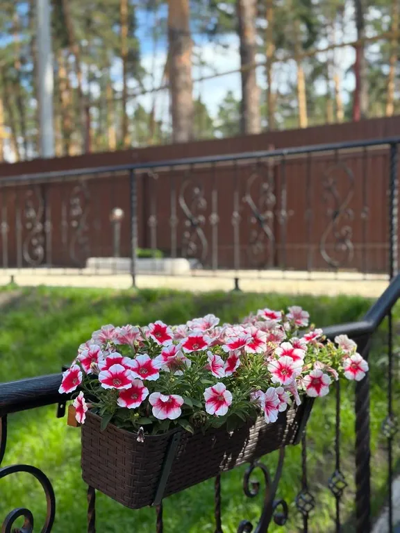 Коттедж Коттедж среди хвойных сосен — Кудряшовский