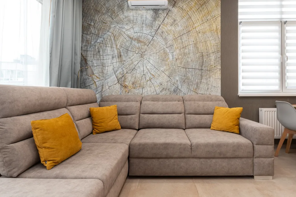 Квартира Уютные апартаменты — Светлогорск