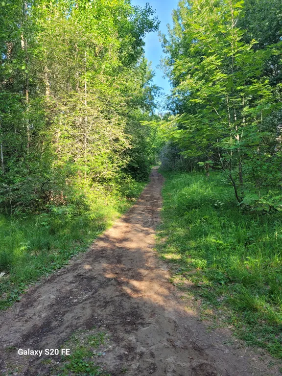 Уютный дом-баня для отдыха семьёй или небольшой компанией