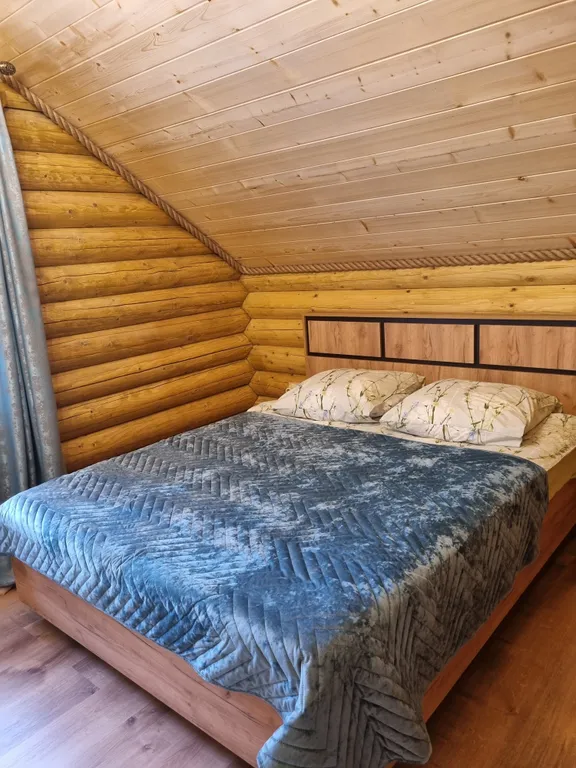 Дом на Алтае