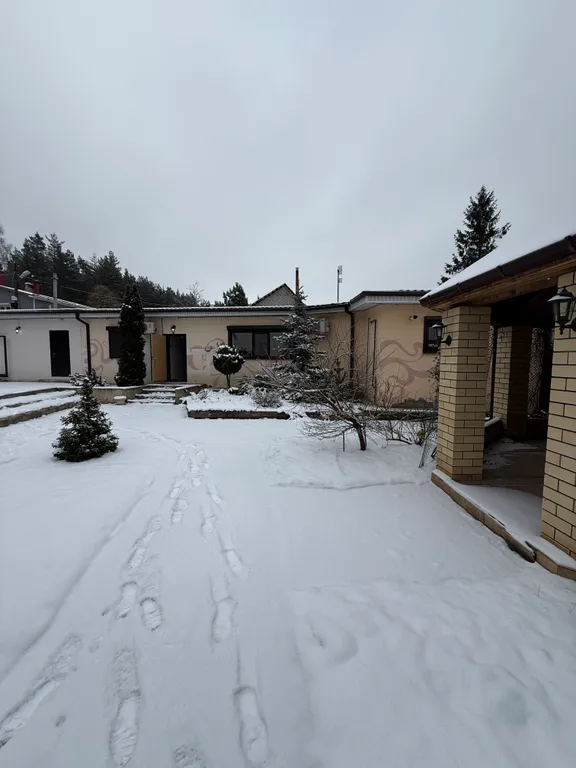 Уютный дом у леса