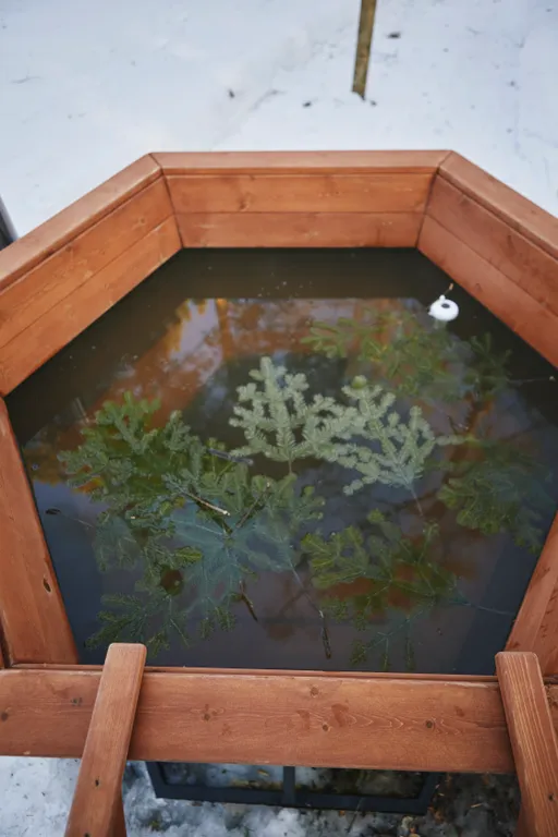 Уединенный дом в стиле A-frame