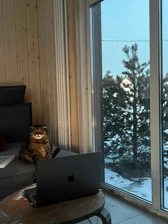 Уютный стильный новый дом с баней в окружении берёзовой рощи