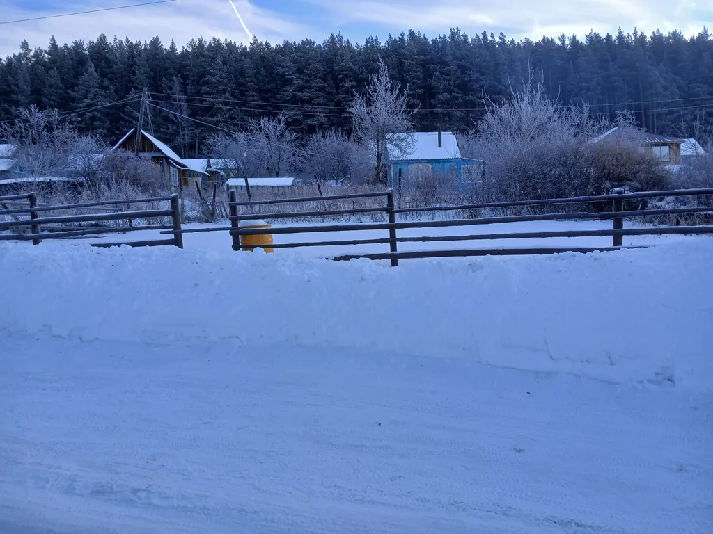 Уютное жилье рядом с лесом