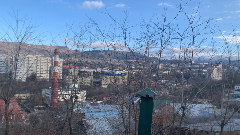 Особняк Береза