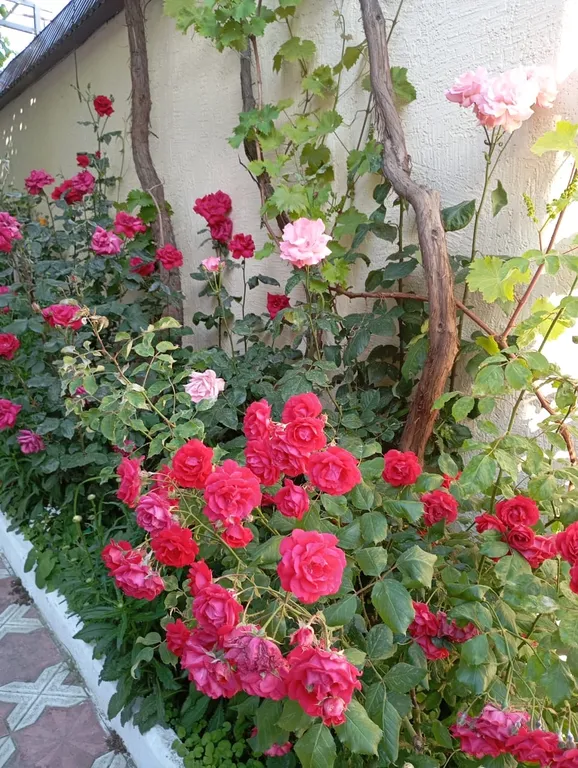 Коттедж Дом с отдельным входом в частном секторе города с мангалом — Махачкала