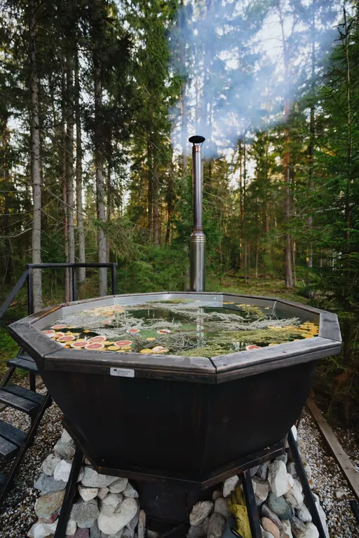 Большой дом в вековом лесу