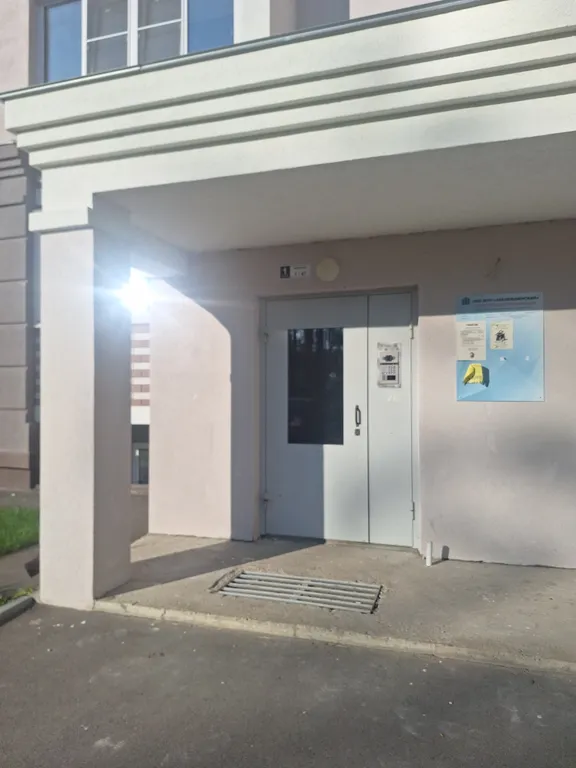 Уютная квартира в окружении соснового леса